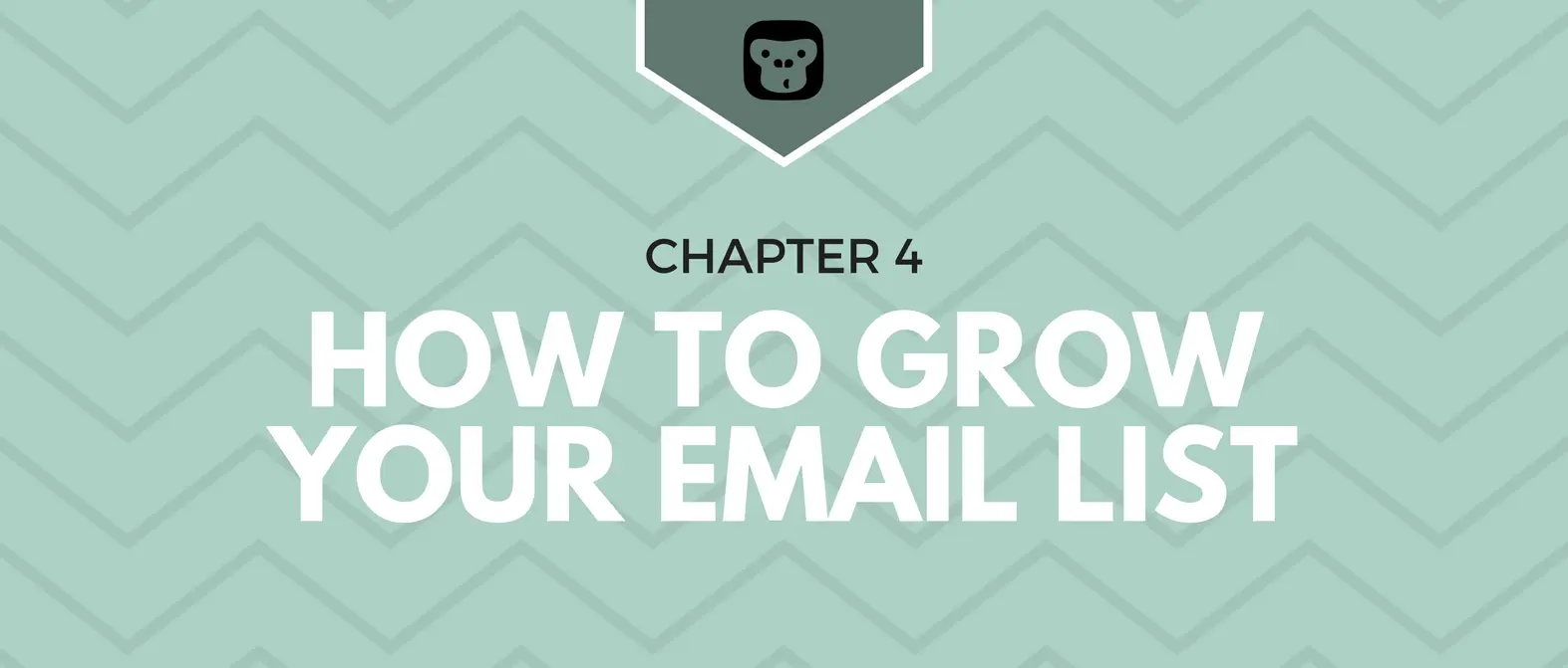 The Email Marketing Money Machine — Chapter 4: How to Grow Your Email List