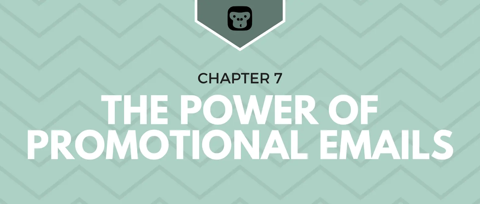 The Email Marketing Money Machine — Chapter 7: The Power of Promotional Emails