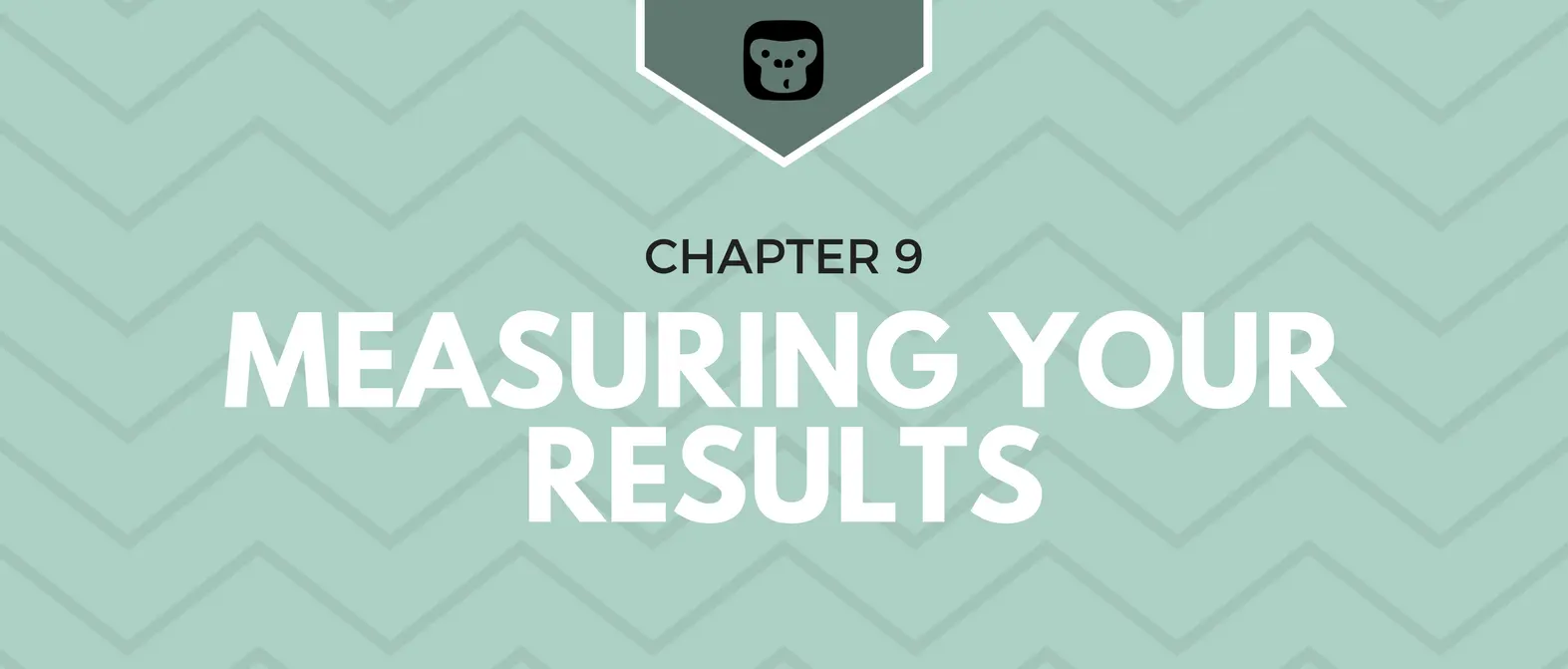 The Email Marketing Money Machine — Chapter 9: Measuring Your Results