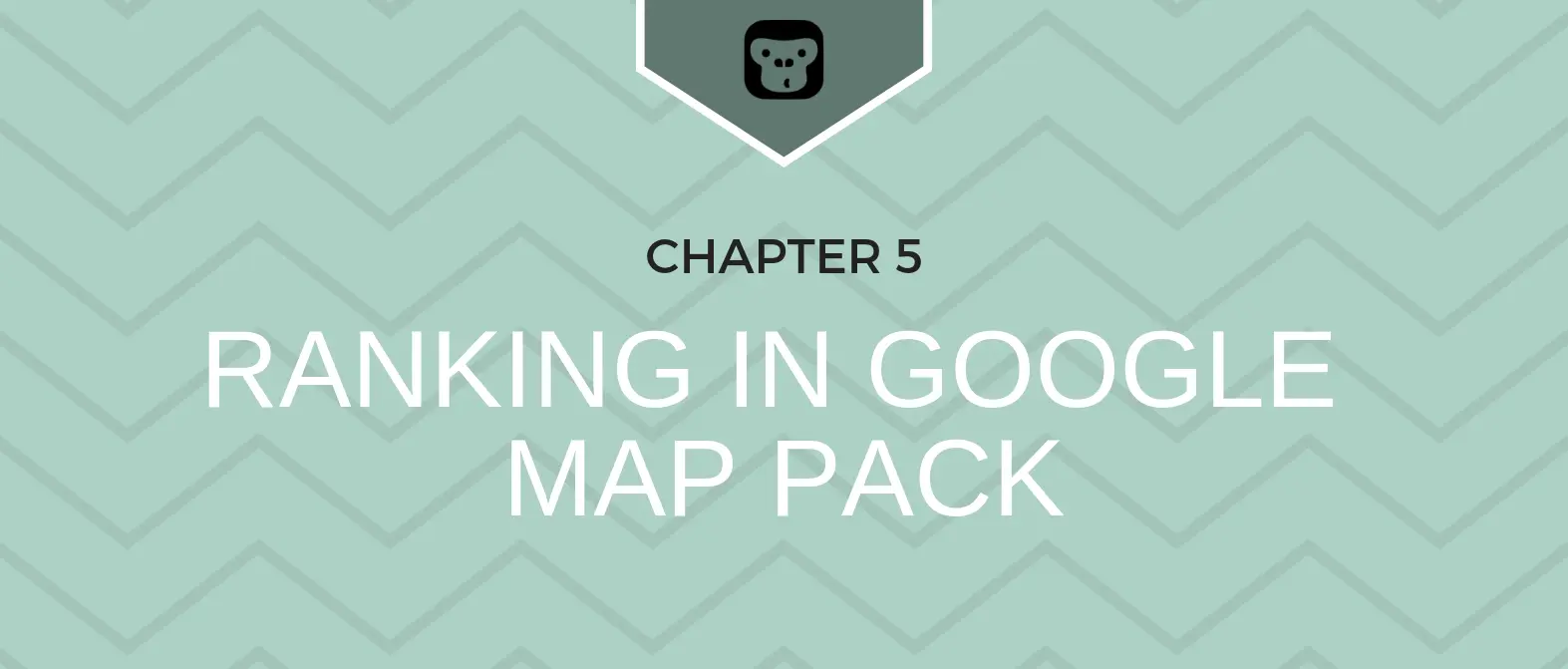 The Local SEO Playbook — Chapter 5: Google Map Packs Ranking