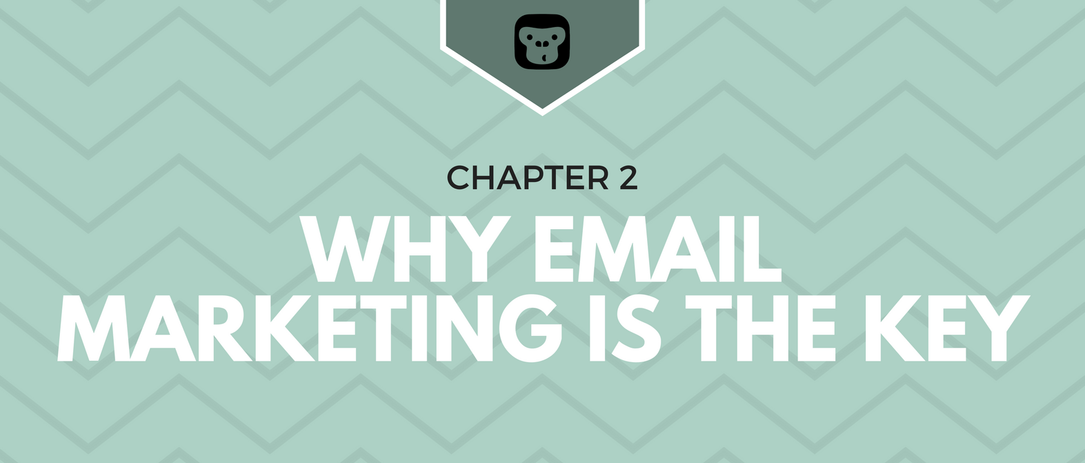 Email marketing benefits and importance