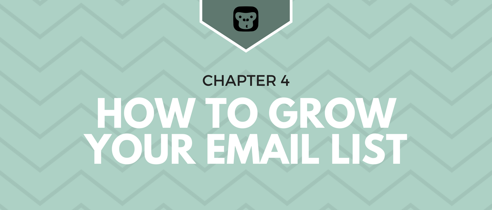 How to grow your email list