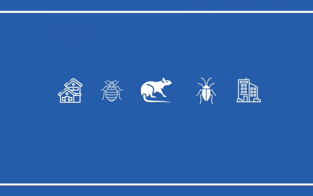 How To Start A Pest Control Business In 2020