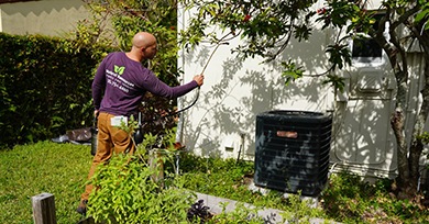 start-a-pest-control-business