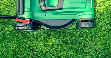 start-lawn-care-business