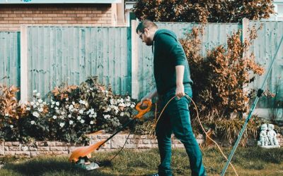 How To Start A Lawn Care Business