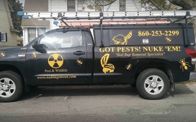 Nukingstreet Pest & Wildlife Control