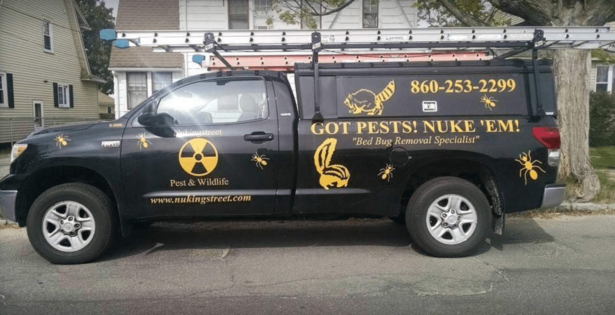 Nukingstreet Pest & Wildlife Control