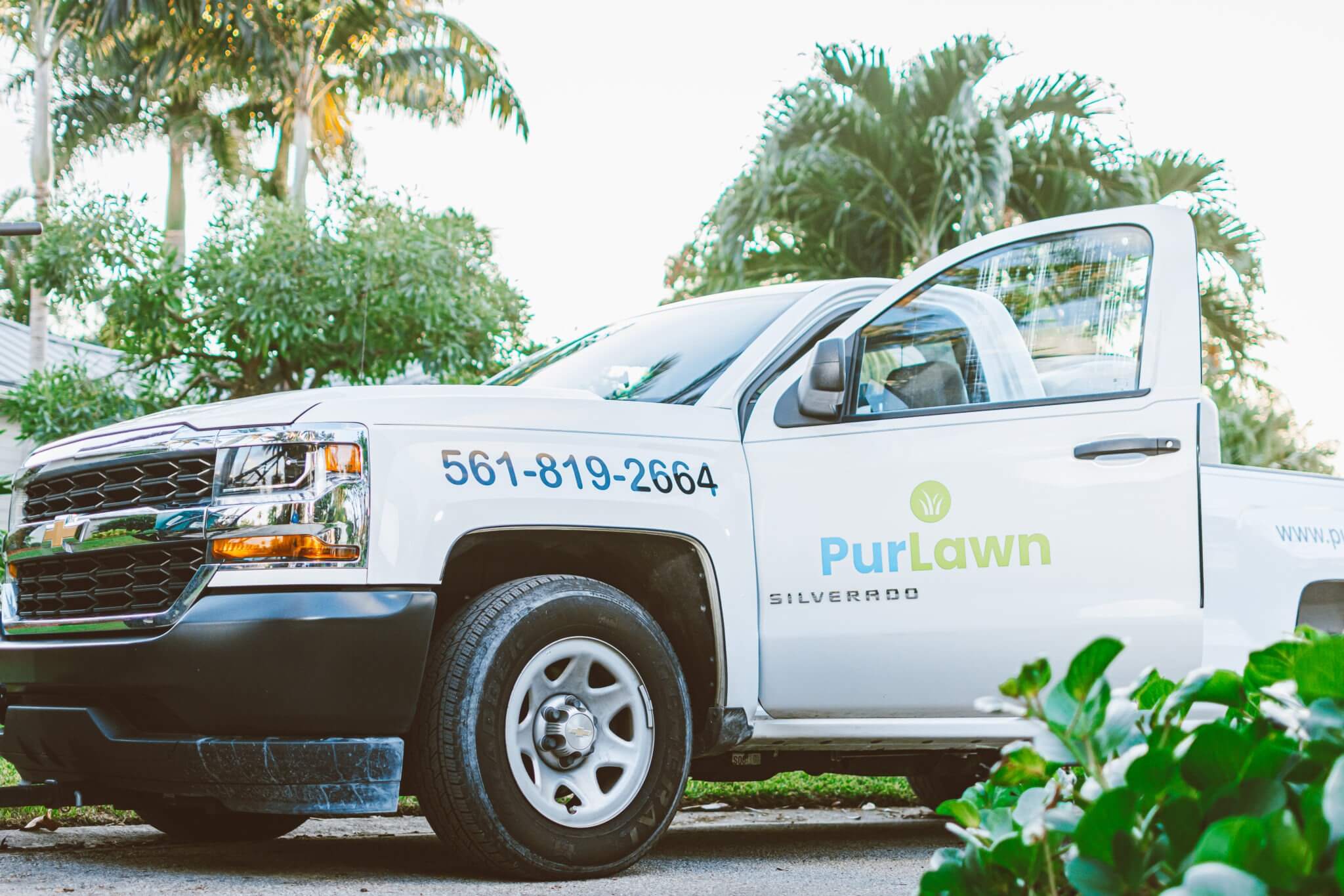 PurLawn - Lawn Care Success Stories