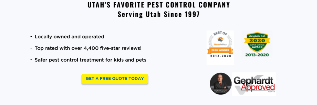 Pest Control Website Design: Showcasing Rewards and Recognition