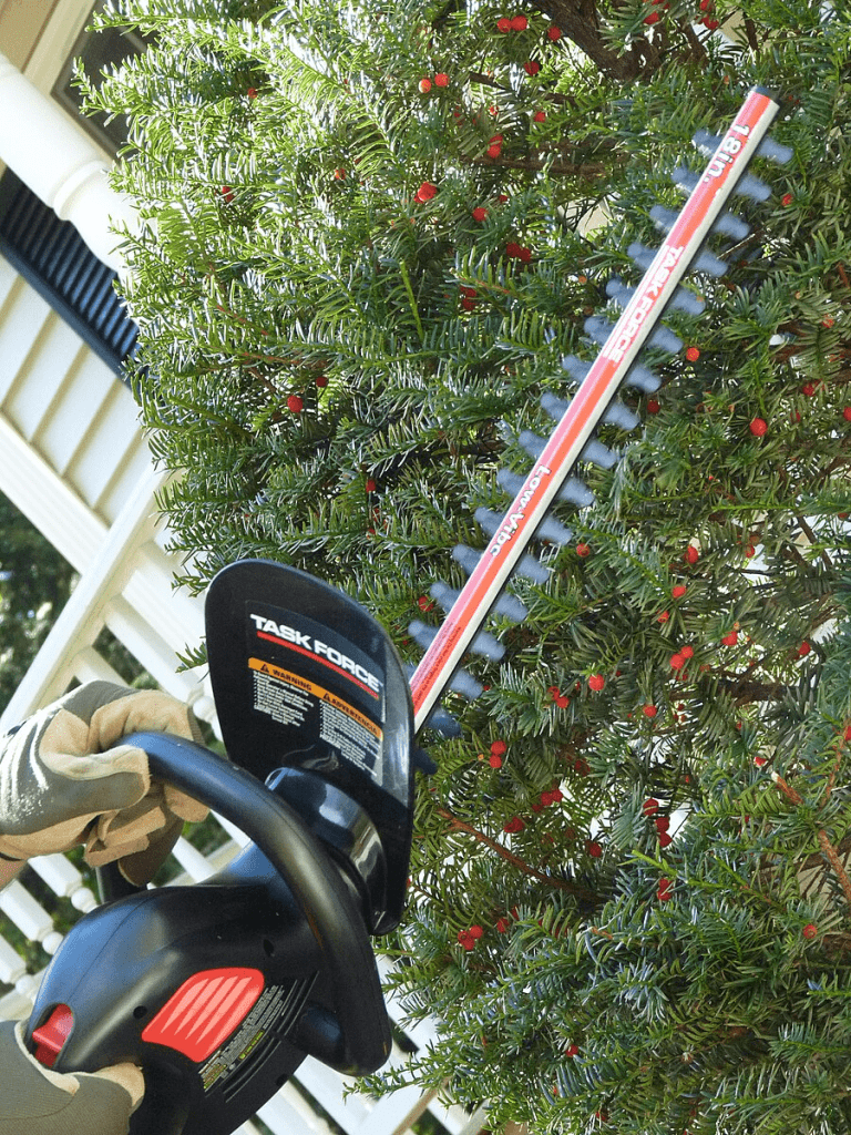 Hedge Trimmer for lawn care service