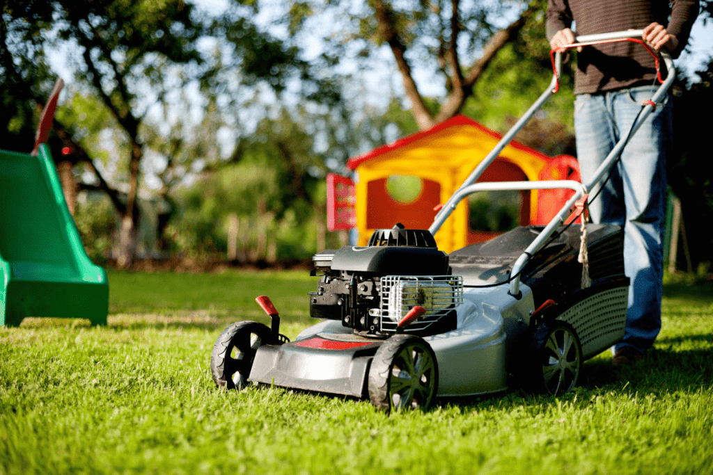 Push mower as lawn care equipment